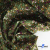 Ткань костюмная «Микровельвет велюровый принт», 220 г/м2, 97% полиэстр, 3% спандекс, ш. 150См Цв  #9 - купить в Пятигорске. Цена 439.76 руб.