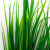 Трава искусственная -2, шт (осока 41см/8 см)				 - купить в Пятигорске. Цена: 104.57 руб.