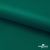 Ткань подкладочная Таффета, 19-5420, 53 г/м2, антистатик, шир. 150 см, вечнозеленый - купить в Пятигорске. Цена 57.16 руб.