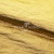Текстильный материал "Диско"#1805 с покрытием РЕТ, 40гр/м2, 100% полиэстер, цв.5-золото - купить в Пятигорске. Цена 416.57 руб.
