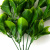 Трава искусственная -1, шт (эвкалипт лист 32 см/8 см)				 - купить в Пятигорске. Цена: 169.93 руб.