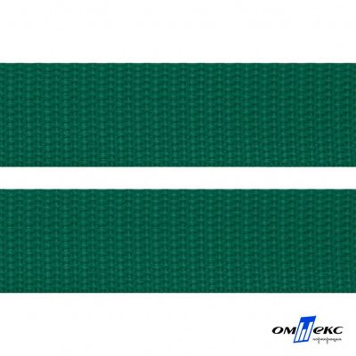 Зелёный- цв.876 -Текстильная лента-стропа 550 гр/м2 ,100% пэ шир.20 мм (боб.50+/-1 м) - купить в Пятигорске. Цена: 318.85 руб.
