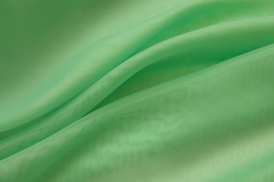 Портьерный капрон 15-6123, 47 гр/м2, шир.300см, цвет св.зелёный - купить в Пятигорске. Цена 137.27 руб.
