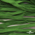 Шнур плетеный (плоский) d-12 мм, (уп.90+/-1м), 100% полиэстер, цв.260 - зел.трава - купить в Пятигорске. Цена: 8.71 руб.