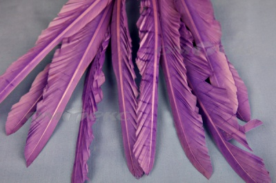 Декоративный Пучок из перьев, перо 25см/фиолетовый - купить в Пятигорске. Цена: 12.19 руб.