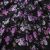 Плательная ткань "Фламенко" 20.1, 80 гр/м2, шир.150 см, принт растительный - купить в Пятигорске. Цена 243.96 руб.