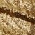 Сетка с пайетками №3, 188 гр/м2, шир.140см, цвет золотой - купить в Пятигорске. Цена 458.76 руб.