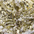 Трикотажное полотно, Сетка с пайетками, шир.130 см, #315, цв.-белый/золото - купить в Пятигорске. Цена 693.39 руб.