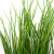 Трава искусственная -4, шт  (осока 50 см/8 см  7 листов)				 - купить в Пятигорске. Цена: 130.73 руб.