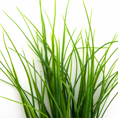 Трава искусственная -3, шт (осока 50 см/8 см  5 листов)				 - купить в Пятигорске. Цена: 124.17 руб.